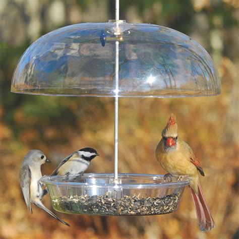The modern transparent dome is big enough to cover the small round mealworm bowl when it. Duncraft.com: Aspects Vista Dome Bird Feeder