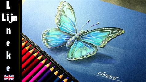 Drawing The Blue Morpho Butterfly With Pastel Pencil For Beginners
