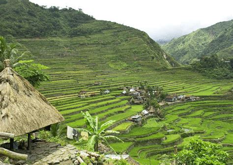 The Philippines Images Banaue Rice Terraces Wallpaper And