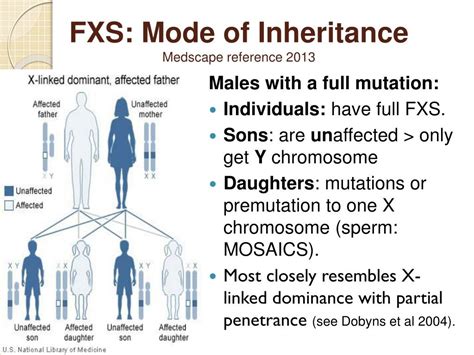 Ppt Fragile X Syndrome Some Recent Advances Powerpoint Presentation