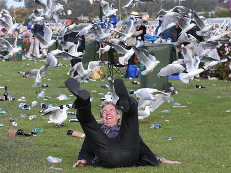 Melbourne Cup 2017 Drunken Antics Begin At Flemington Photos The Courier Mail