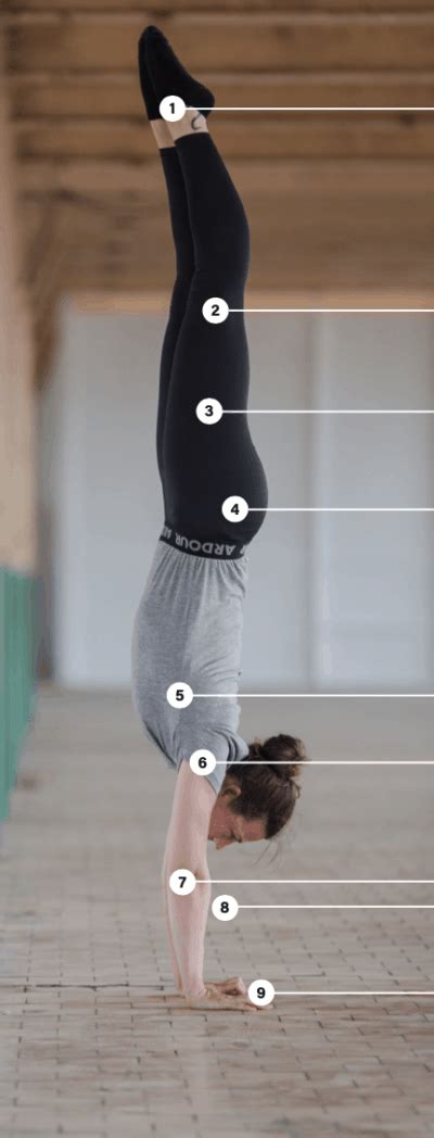 Push Learn To Handstand Online Handstand Factory