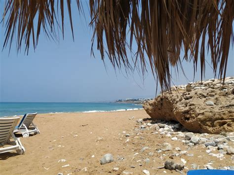 Akti beach village resort zypern. "Strand" Akti Beach Village Resort (Chloraka ...