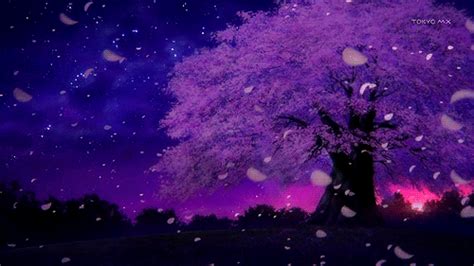 scenery. | Anime scenery, Anime background, Anime wallpaper live