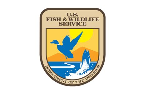 Us Fish And Wildlife Service Marine Turtle Conservation Fund Cabo