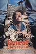 Ernest Goes to Jail (Ernesto pierde su puesto) (1990) - FilmAffinity