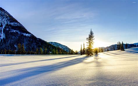 Serene Snow Wallpaper Nature Wallpapers 17458