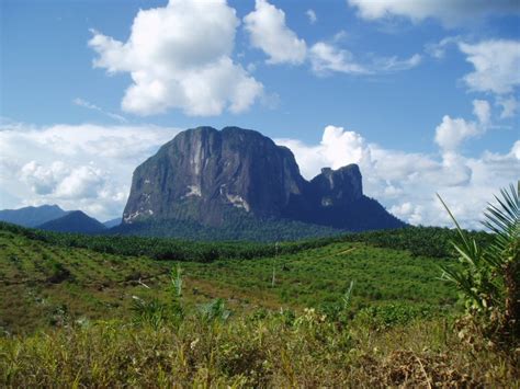 10 Tempat Wisata Tersembunyi Di Kalimantan Barat Turisindo