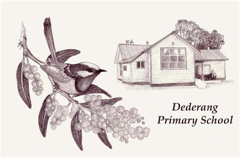 Our School Dederang Primary School