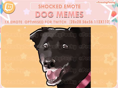 Twitch Emote 1x Shocked Dog Dog Meme Twitch Emotes Etsy México