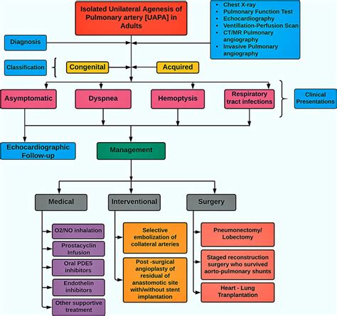 Flow Chart Of Diagnostic Classification Systems Download Scientific