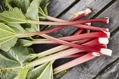 What Is Rhubarb And What Can You Do With It Myrecipes