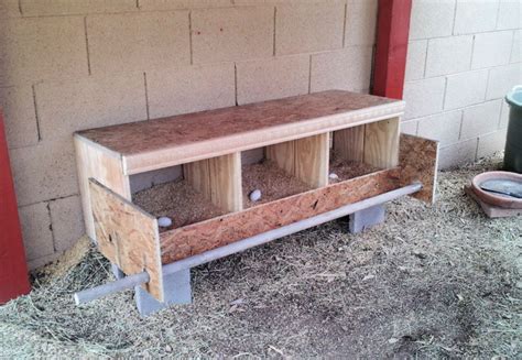 20 Free Plans To Build Chicken Nesting Boxes On Budget