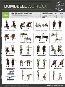 Mua Dumbbell Exercises Laminated Poster Chart Strength Training