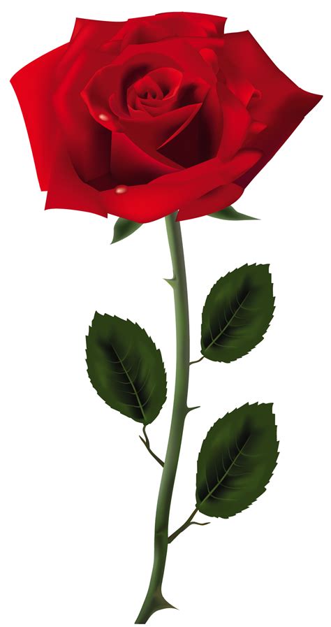 Rose Clip Art Red Rose Png Art Picture Png Download 10261943