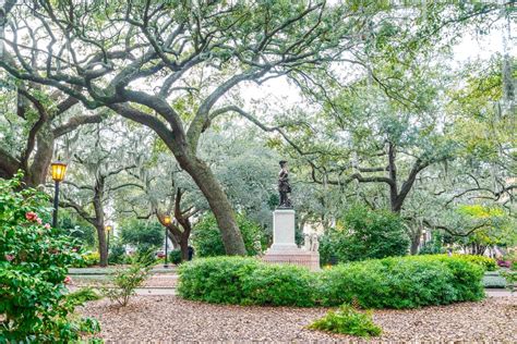 Savannah Or Charleston Which Lowcountry City Is Right For You