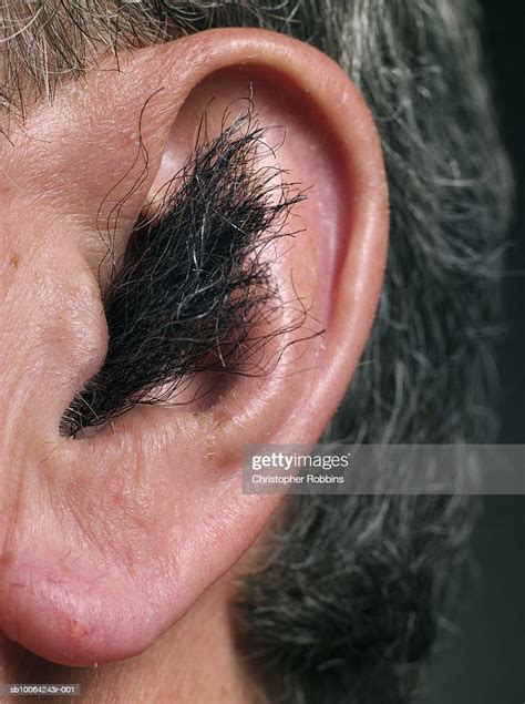 Hair Growing Out Of Senior Mans Ear Closeup High Res Stock Photo