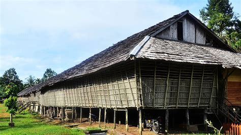 Bagi masyarakat kalimantan timur, rumah adat ini kaya akan nilai filosofis. Rumah Adat Kalimantan Barat - Nama dan Gambar | Freedomsiana