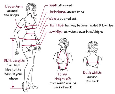 This is calculated as waist measurement divided by hip measurement (. How to Measure Yourself | auralynne