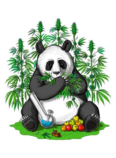 Panda Bear Weed Stoner Digital Art By Nikolay Todorov