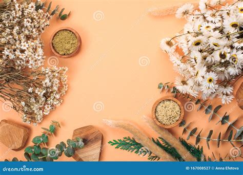 Modern Apothecary Concept Stock Image Image Of Healthcare 167008527
