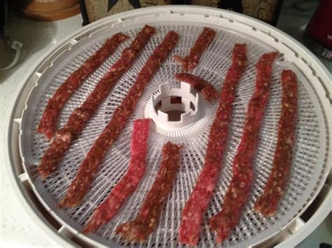 I've tried a few recipes for jerky so far with meat ranging from high quality strips to this. Ground Beef Jerky | Homemade jerky, Jerky recipes, Beef jerky recipes