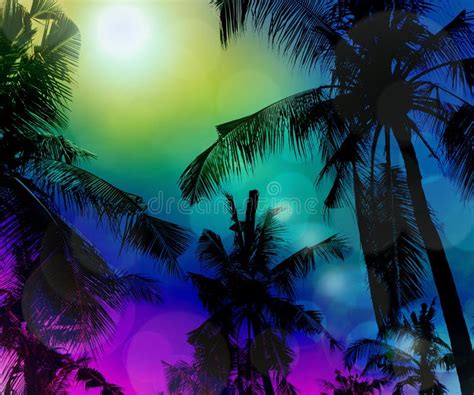 Tropical Beach At Night With A Full Moon Reflecting And A Cocon Stock