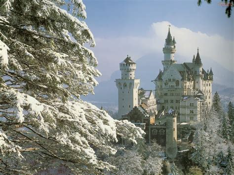 Neuschwanstein Castle Bavaria Germany Forest Snow Picture
