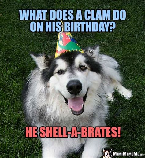 100 Funniest Happy Birthday Dog Memes Guaranteed To Lol 🤣