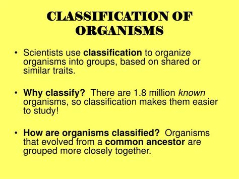 Ppt Classification Of Organisms Powerpoint Presentation