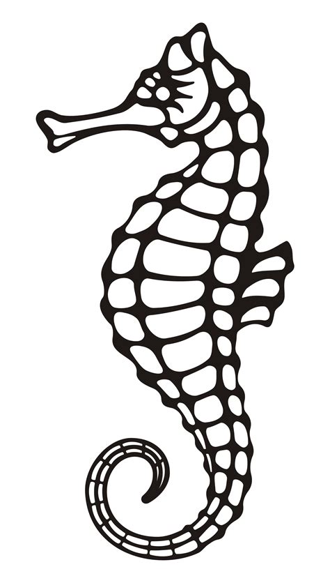Seahorse Drawings Clipart Best