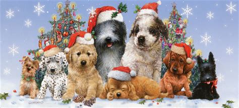 Custom holiday cards for every occasion. Puppies in Santa Hats Box of 14 Long Glitter Dog Christmas Cards by LPG Greetings