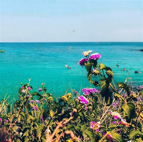 Week 2 Of Our Top 5 Instagram Images My Guide Cyprus