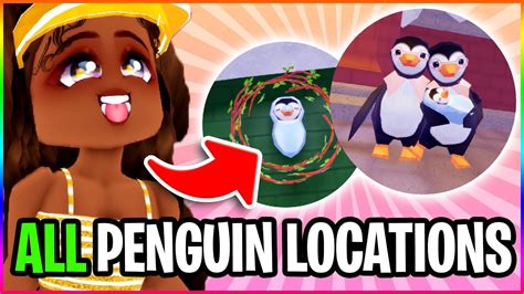 Missing Penguin Quest Penguin Locations Roblox Royalty Kingdom 2 Not Royale High Youtube