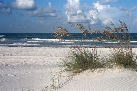 15 Best Beaches In Tampa The Crazy Tourist