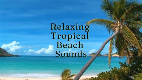 Relaxing Tropical Beach Sounds With Gentle Ocean Waves Asmr Beach