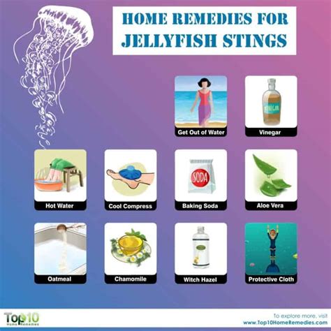 Home Remedies For Jellyfish Stings Top 10 Home Remedies