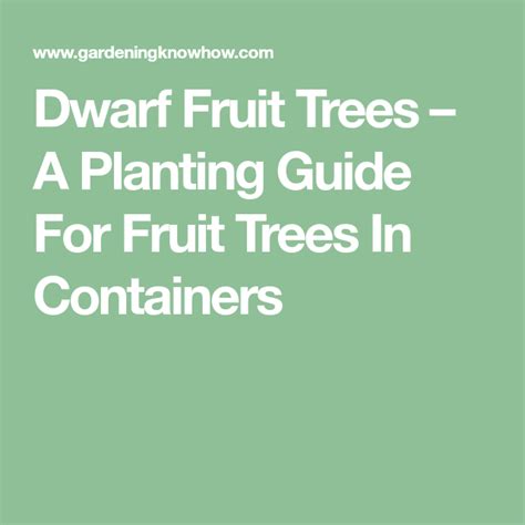 Dwarf Fruit Trees A Planting Guide For Fruit Trees In Containers