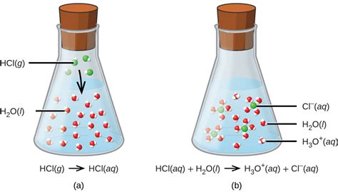 Acids Bases Neutralization And Gas Forming Reactions M Q UW