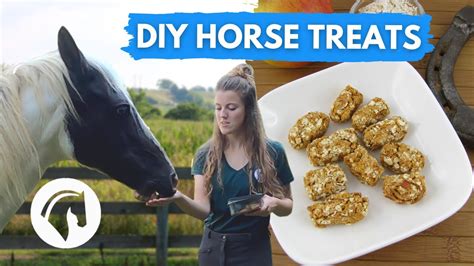 Diy Horse Treats That Even I Can Cook Youtube