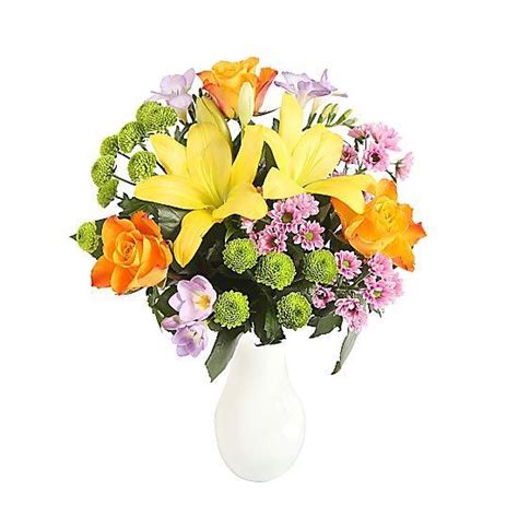 We did not find results for: Radiant Bouquet | Flowers Delivery 4 U | Southall, Middlesex