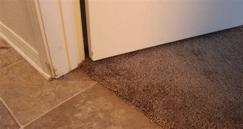 All phase commercial flooring 2502 meade circle colorado springs, co 80907. Carpet Repair Colorado Springs | Just another Fort Collins ...