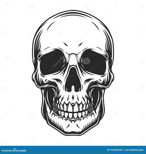 Vintage Human Skull Concept Stock Vector Illustration Of Death