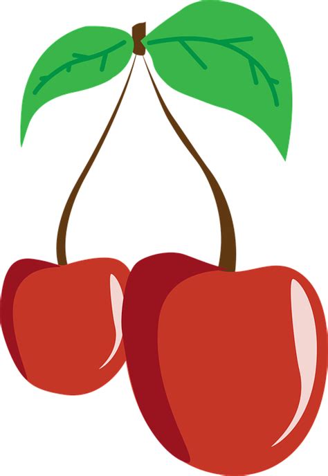 Download Cherry Fruit Cherries Royalty Free Vector Graphic Pixabay