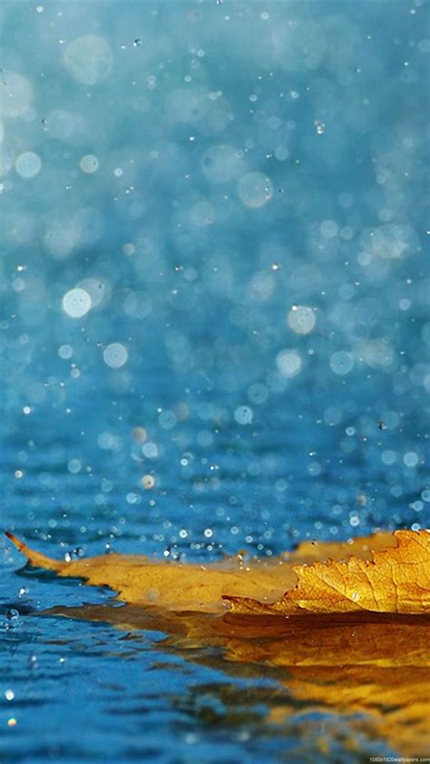 Android Rain Wallpapers Wallpaper Cave