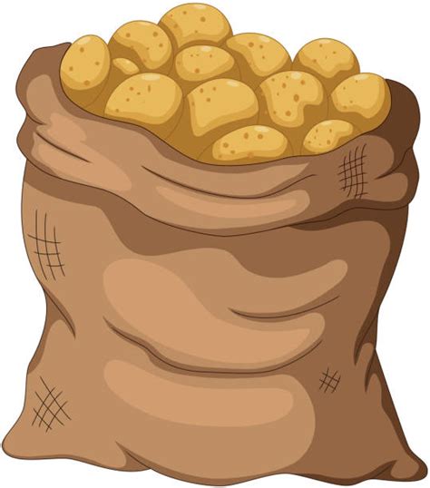 Royalty Free Raw Potato Clip Art Vector Images And Illustrations Istock