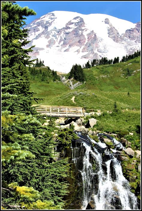 Mt Rainier National Park Alltrails Travel Explore Enjoy