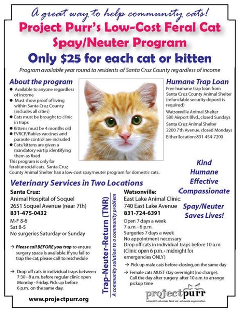 Project Purr Low Cost Feral Cat Spayneuter Program Watsonville Ca Patch