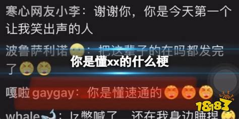 你是懂xx的什么梗 你是懂xx的什么意思