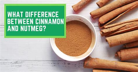 What Difference Between Cinnamon And Nutmeg Read This To Find Out How